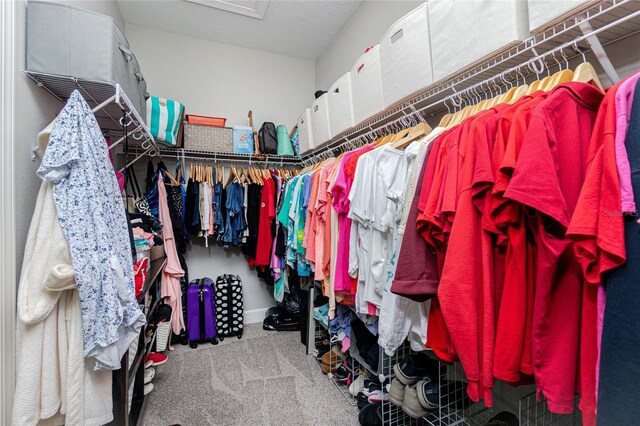 spacious closet with carpet floors