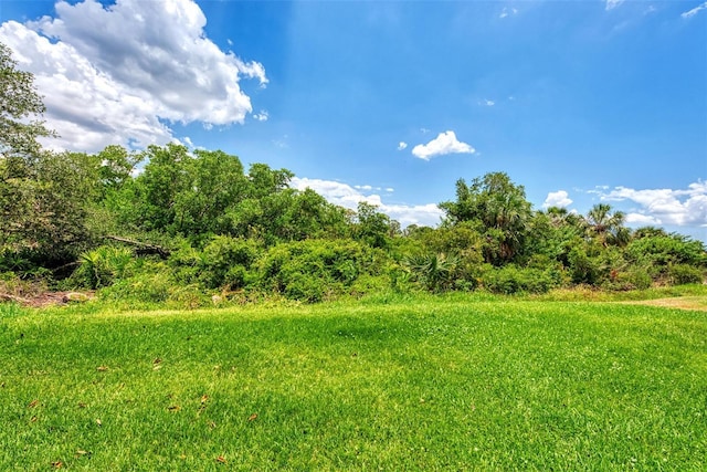view of nature