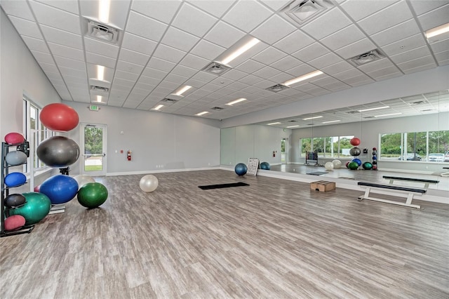 gym with a drop ceiling and hardwood / wood-style flooring