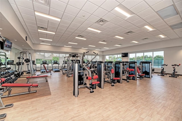 gym featuring a paneled ceiling and wood finished floors