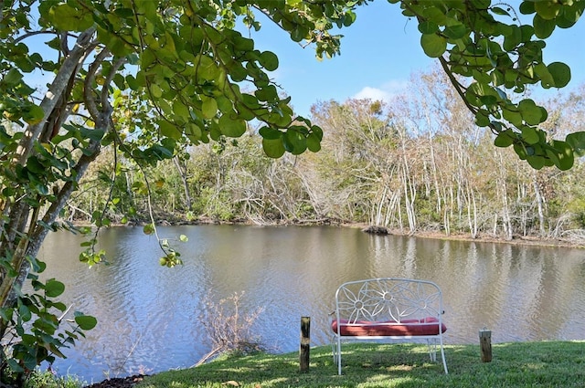 property view of water