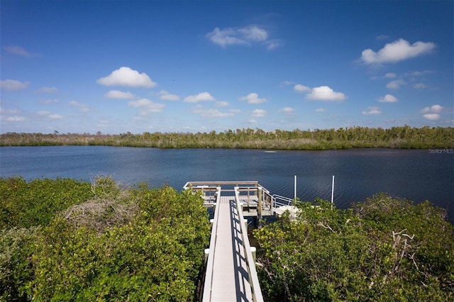 property view of water with a dock