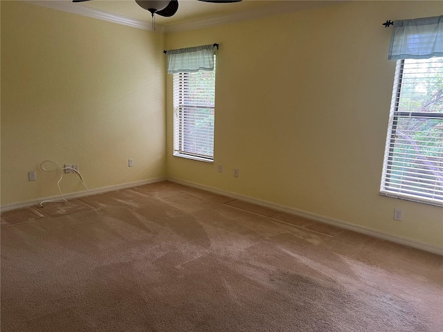 carpeted spare room with plenty of natural light, ornamental molding, and ceiling fan