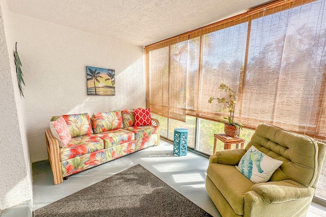 living room featuring a textured ceiling