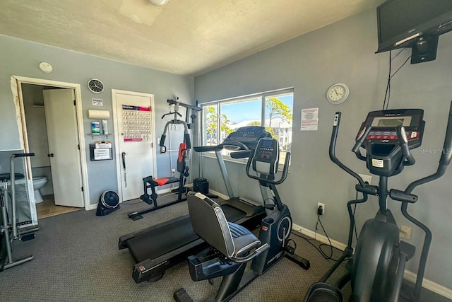 exercise room featuring carpet flooring