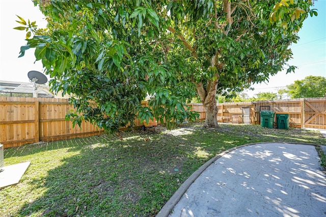 view of yard featuring a patio area