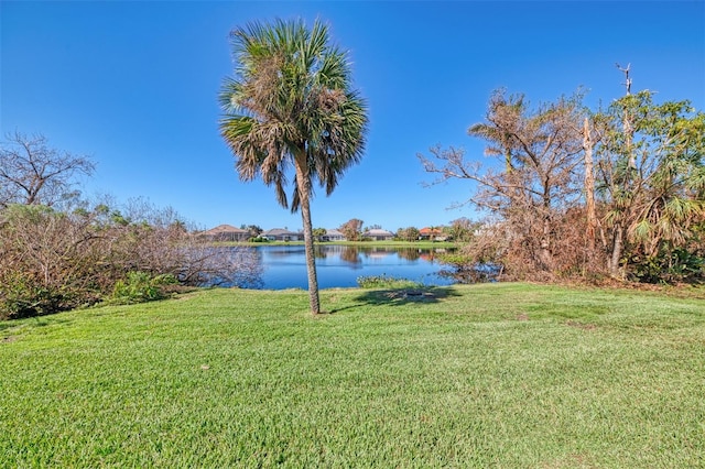 view of yard with a water view