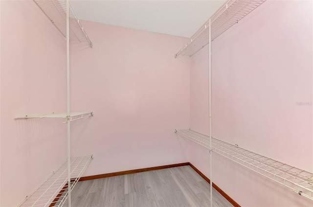 walk in closet with wood-type flooring