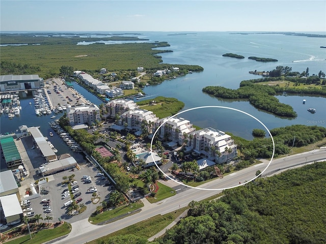 bird's eye view with a water view