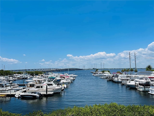 dock area featuring a water view