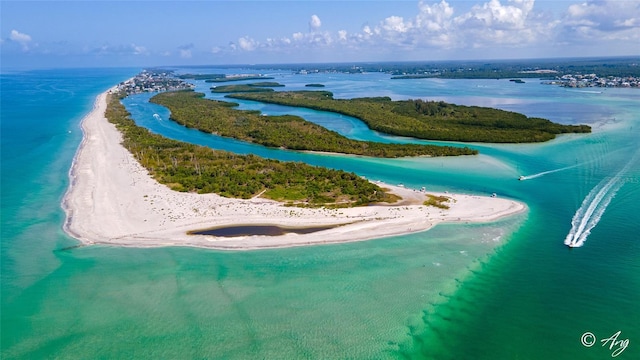 drone / aerial view with a water view and a view of the beach