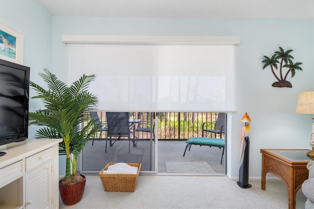 living area with carpet floors