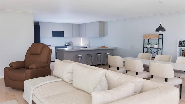 living room with sink and light hardwood / wood-style flooring