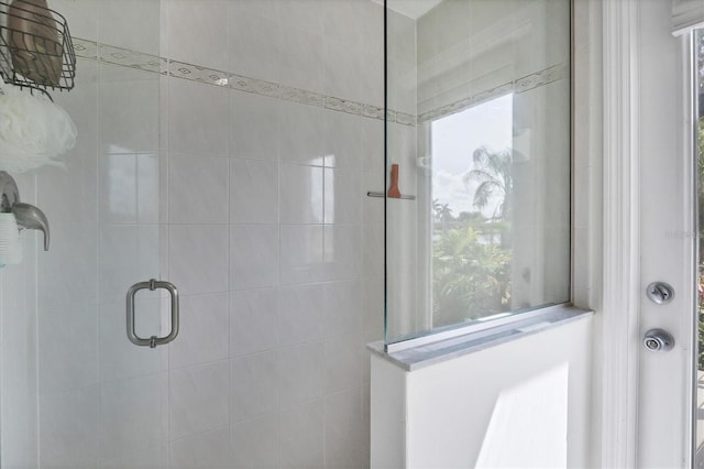 bathroom featuring walk in shower