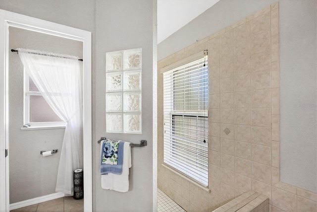 10083 Kansas City St, Port Charlotte, FL 33981 - full bathroom featuring a walk in shower and tile patterned floors