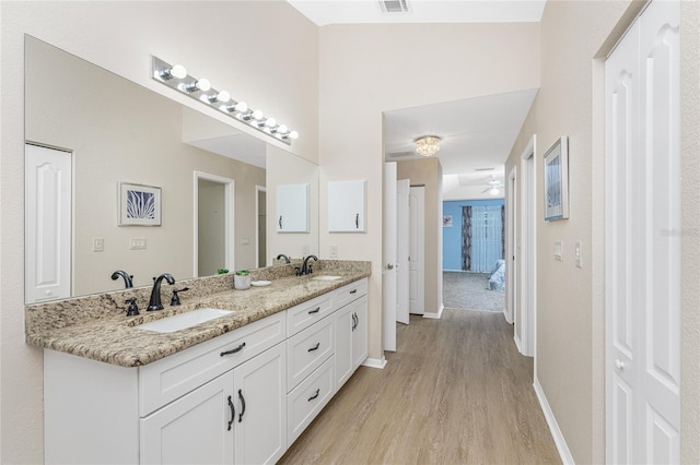 bathroom with vanity and hardwood / wood-style floors