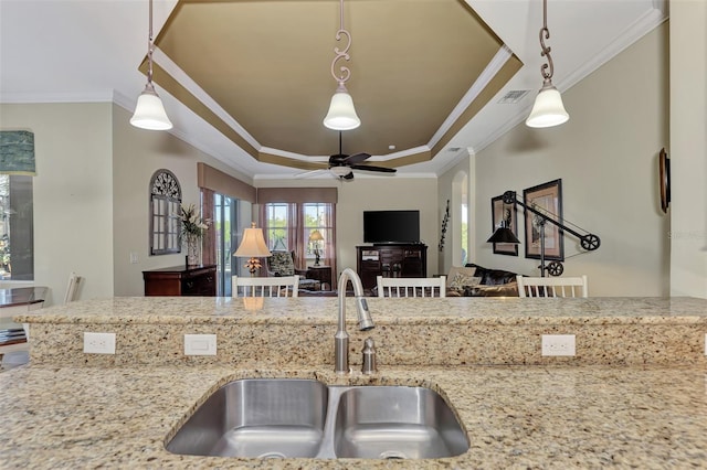 kitchen with crown molding, sink, a tray ceiling, and light stone countertops