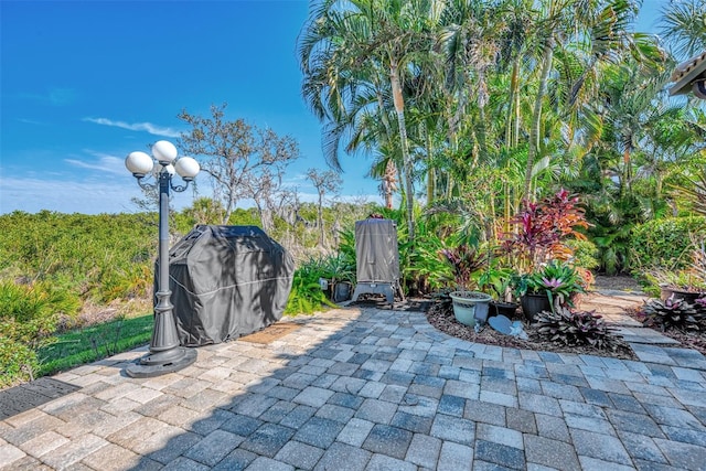 view of patio / terrace featuring grilling area