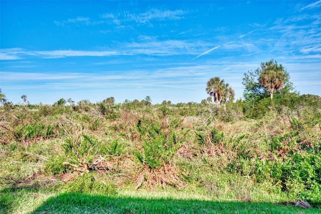 view of landscape