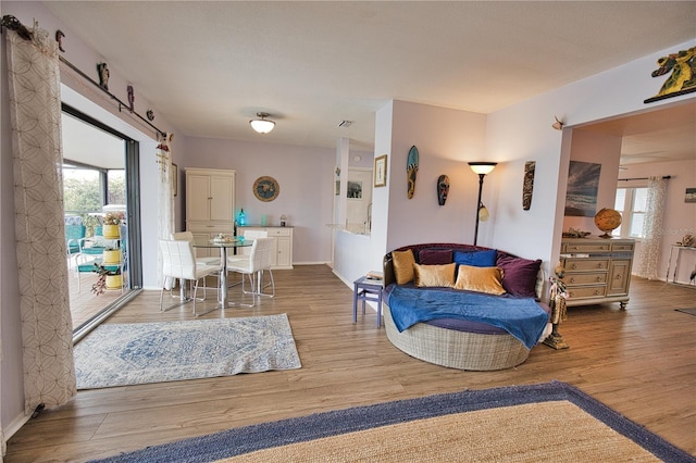 living room with hardwood / wood-style flooring