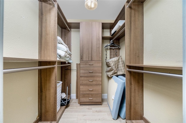 spacious closet with light wood-type flooring