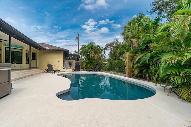 view of swimming pool featuring a patio area