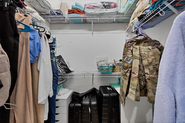 view of spacious closet