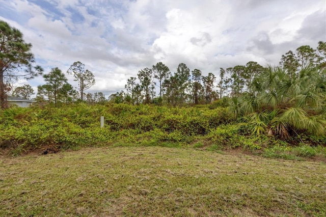 12194 Everglades Ave, Port Charlotte, FL 33981 - view of grassy yard