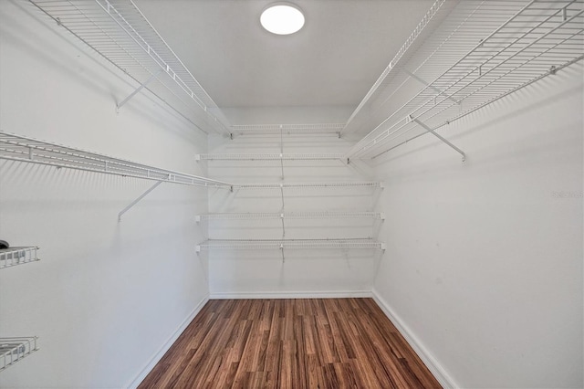 walk in closet featuring dark hardwood / wood-style flooring