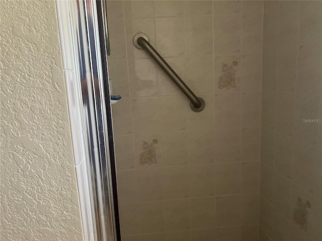 interior details with walk in shower