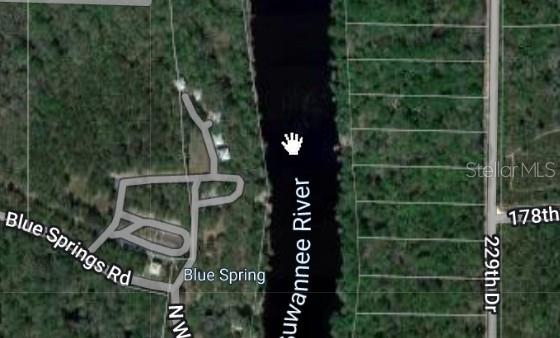 229 Th Dr, Live Oak, FL 32064 - photo 3