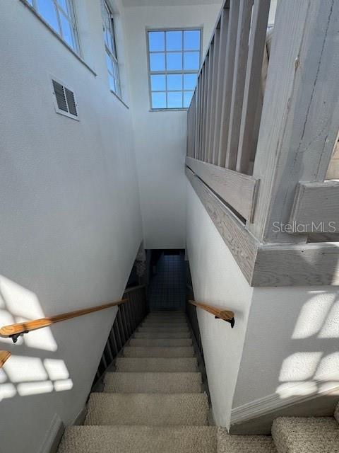 staircase with carpet flooring