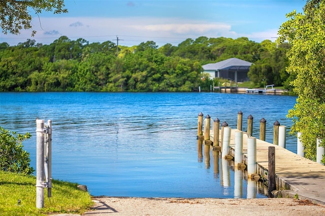 dock area featuring a water view