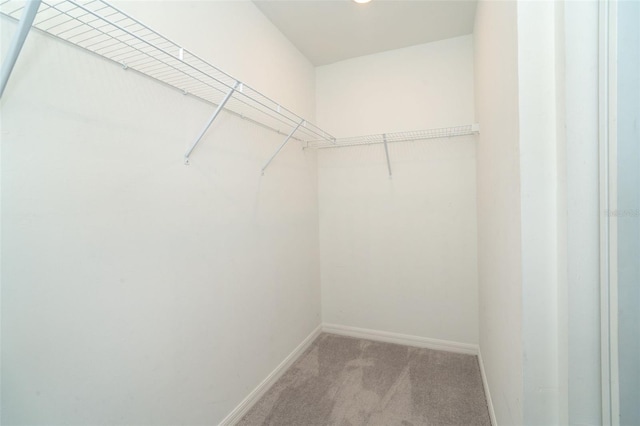 walk in closet featuring light carpet