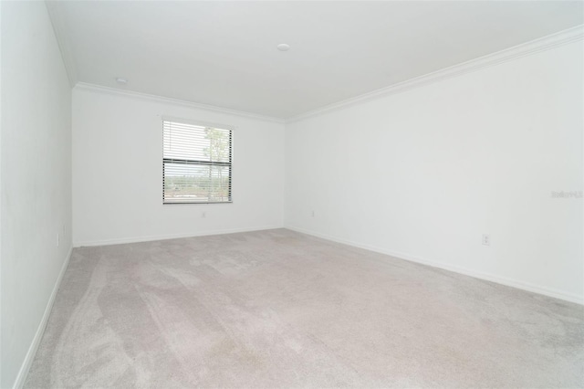 carpeted empty room with crown molding