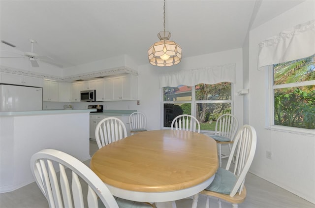 dining area featuring a wealth of natural light, ceiling fan, and light wood-type flooring