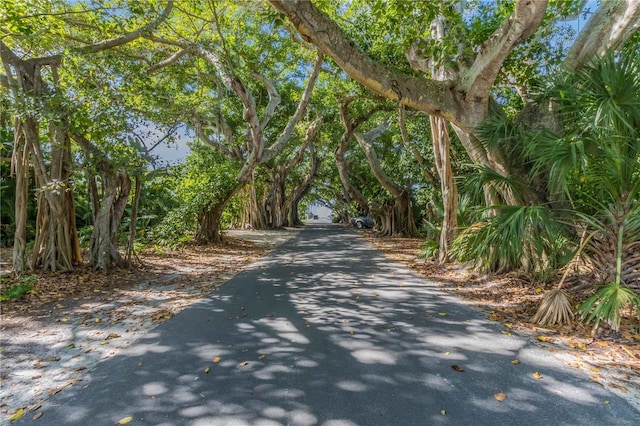 225 Waterways Ave, Boca Grande, FL 33921 - photo 30
