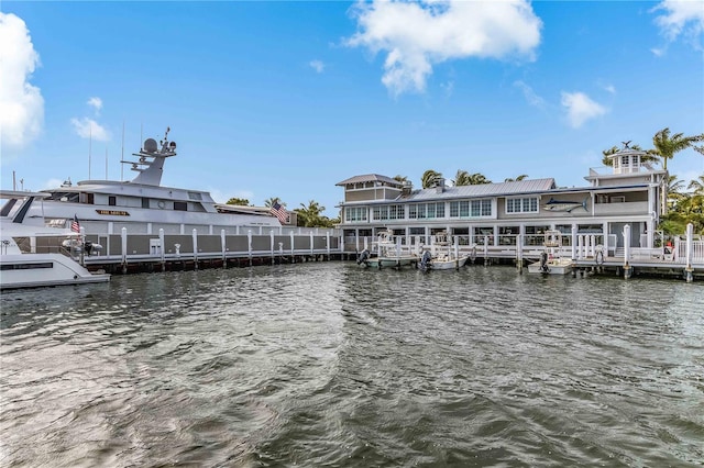 dock area with a water view