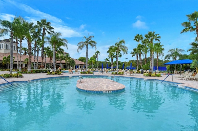 view of pool featuring a patio area