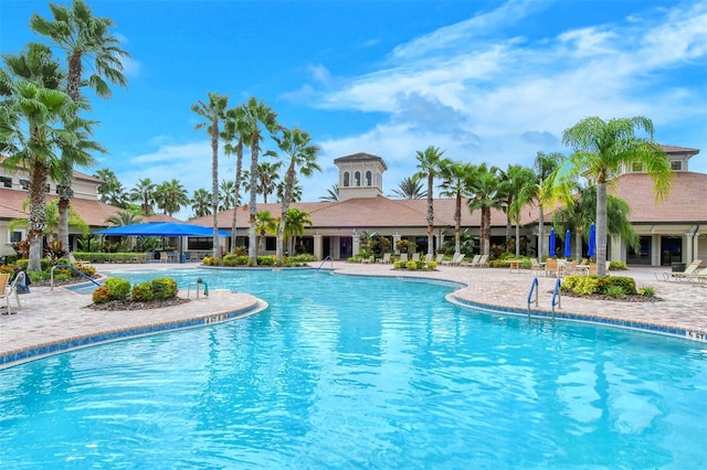 view of swimming pool featuring a patio