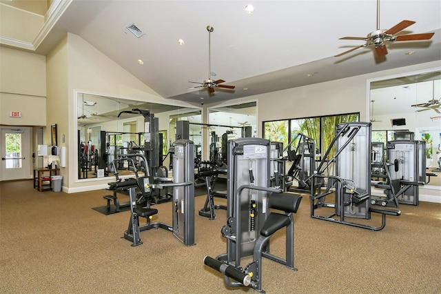 exercise room featuring carpet floors and high vaulted ceiling