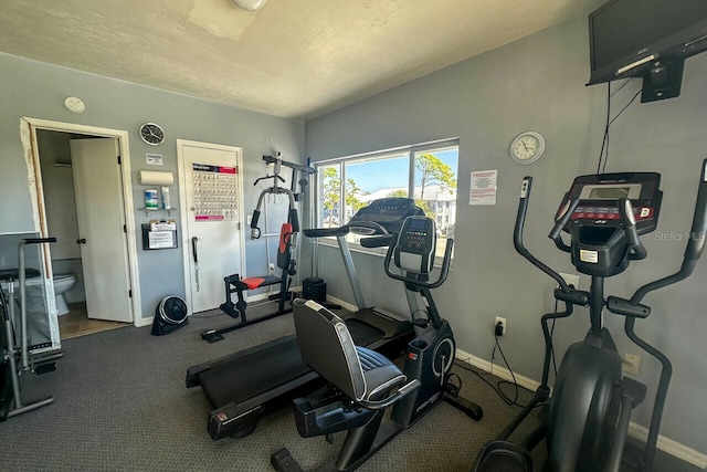 workout area featuring vaulted ceiling