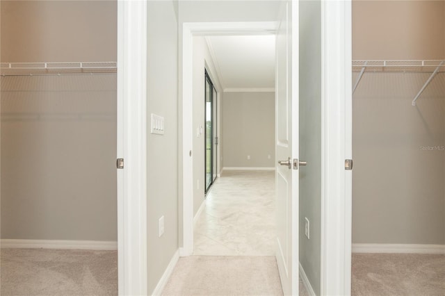 walk in closet with light colored carpet