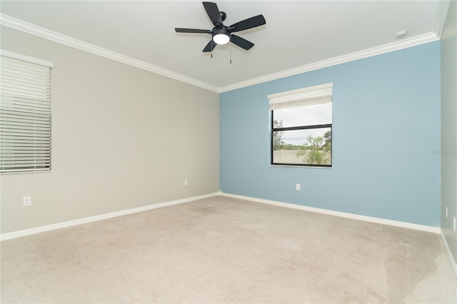 spare room featuring light carpet, ceiling fan, and crown molding