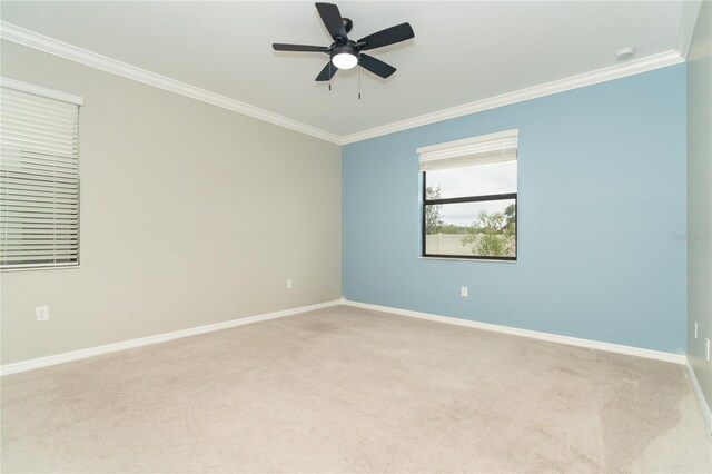 19536 Fishhawk Trl, Venice, FL 34293 - photo 29