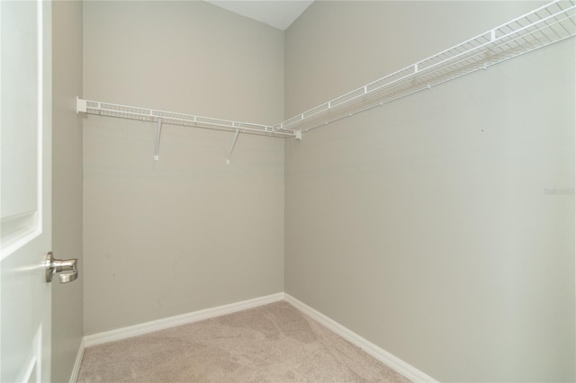 walk in closet featuring light colored carpet