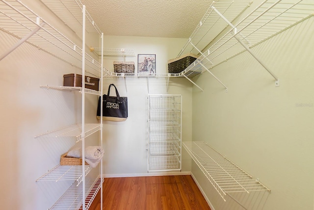 walk in closet featuring wood-type flooring