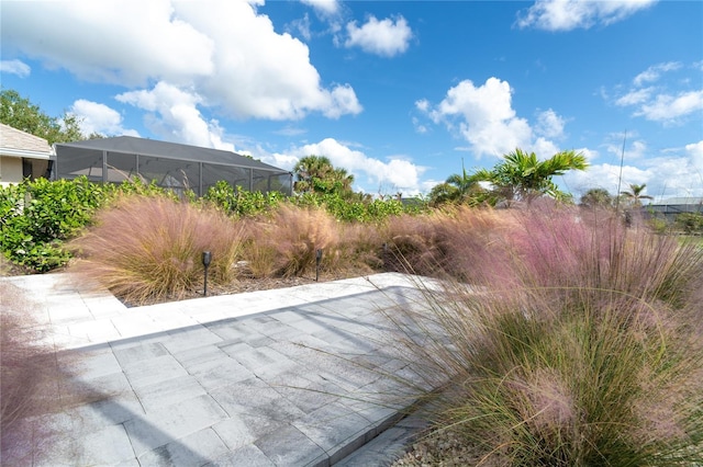 view of yard featuring a patio area