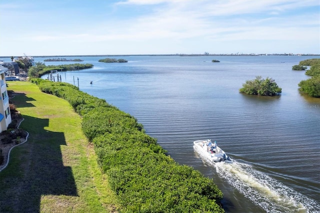 bird's eye view with a water view