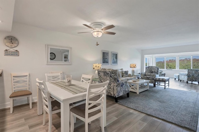 dining room with ceiling fan and light hardwood / wood-style floors